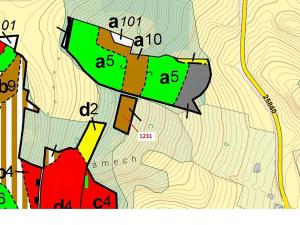 Dražba lesa, Stebno, 1462 m2