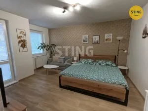 Pronájem bytu 1+1, Olomouc - Hodolany, 36 m2
