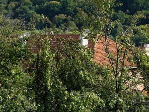 Prodej zahrady, Bojkovice, 1208 m2