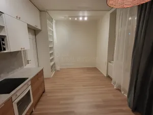 Pronájem bytu 1+kk, Ostrava - Moravská Ostrava, 28. října, 30 m2