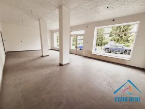 Prodej obchodního prostoru, Milovice - Benátecká Vrutice, 1080 m2