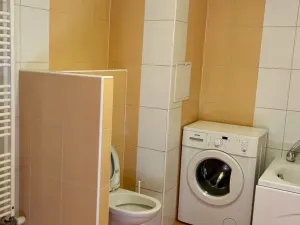 Pronájem bytu 2+kk, Žatec, Otokara Březiny, 52 m2