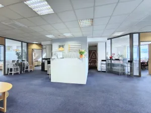 Pronájem kanceláře, Praha - Nusle, Hvězdova, 240 m2