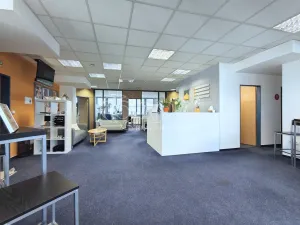 Pronájem kanceláře, Praha - Nusle, Hvězdova, 240 m2