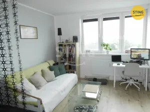 Pronájem bytu 1+1, Opava, Hlavní, 36 m2