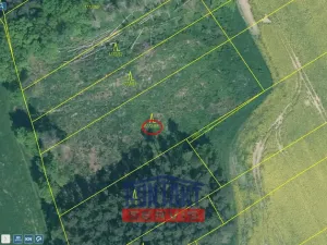 Prodej lesa, Sepekov, 2934 m2