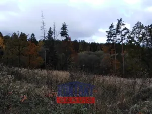 Prodej lesa, Sepekov, 2934 m2