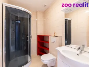 Prodej rodinného domu, Ústí nad Labem, Brožíkova, 355 m2