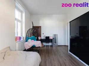 Prodej rodinného domu, Ústí nad Labem, Brožíkova, 355 m2