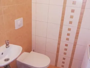 Pronájem bytu 1+kk, Rakovník - Rakovník I, 75 m2