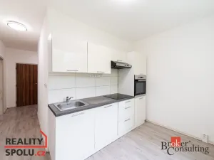 Pronájem bytu 1+1, Chomutov, Holešická, 42 m2