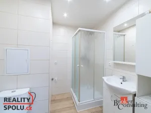 Pronájem bytu 1+1, Chomutov, Holešická, 42 m2