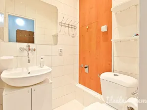 Pronájem bytu 1+1, Brno, Antonínská, 35 m2