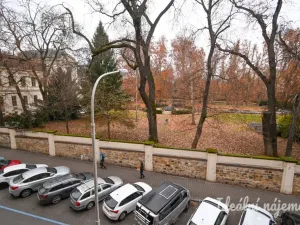 Pronájem bytu 1+1, Brno, Antonínská, 35 m2