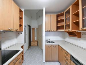 Pronájem bytu 3+kk, Praha - Žižkov, Lupáčova, 57 m2