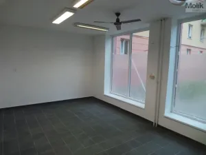 Prodej obchodního prostoru, Most, Čsl. armády, 55 m2