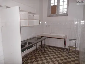 Prodej obchodního prostoru, Most, Čsl. armády, 55 m2