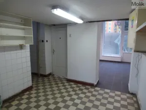 Prodej obchodního prostoru, Most, Čsl. armády, 55 m2