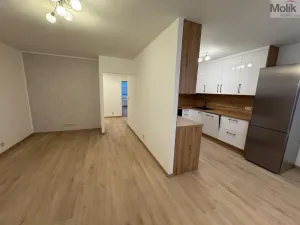 Pronájem bytu 3+1, Most, Josefa Ševčíka, 68 m2