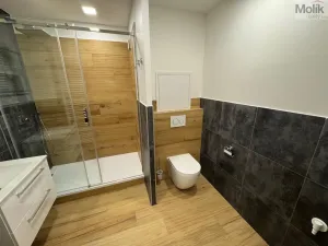 Pronájem bytu 3+1, Most, Josefa Ševčíka, 68 m2