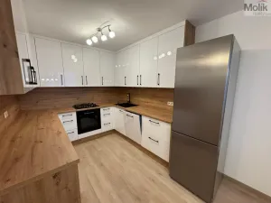 Pronájem bytu 3+1, Most, Josefa Ševčíka, 68 m2