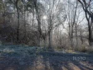 Prodej pozemku pro bydlení, Veletiny, 534 m2