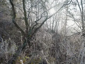 Prodej pozemku pro bydlení, Veletiny, 534 m2