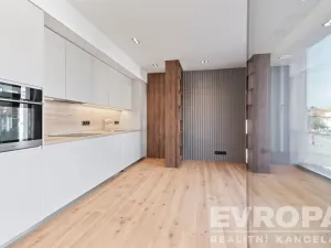 Pronájem bytu 1+kk, Praha - Břevnov, U Petřin, 35 m2