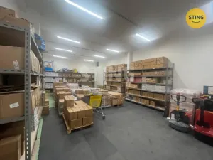 Pronájem skladu, Ostrava, Kounicova, 75 m2