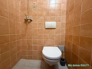 Pronájem bytu 1+kk, Praha - Dolní Chabry, Prunéřovská, 18 m2