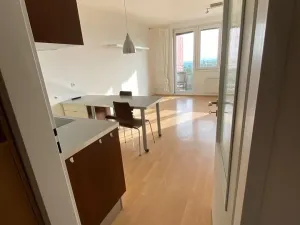Prodej bytu 1+kk, Praha - Troja, Hnězdenská, 38 m2