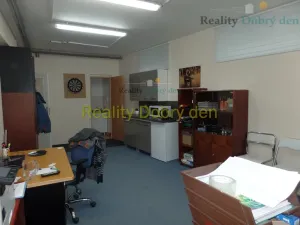 Pronájem skladu, Opava, Bochenkova, 219 m2