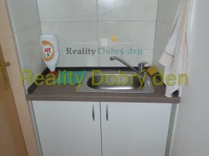 Pronájem skladu, Opava, Bochenkova, 219 m2