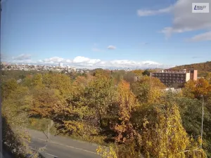 Pronájem bytu 1+kk, Praha - Krč, Štúrova, 30 m2