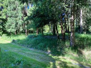 Prodej chalupy, Kryštofovy Hamry, 81 m2