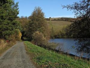 Prodej louky, Velký Ořechov, 21368 m2