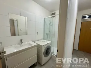 Pronájem bytu 2+1, Plzeň - Východní Předměstí, Francouzská třída, 56 m2