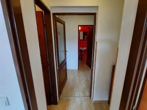 Pronájem bytu 4+kk, Vítkovice, 97 m2