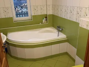 Pronájem rodinného domu, Domamil, 120 m2