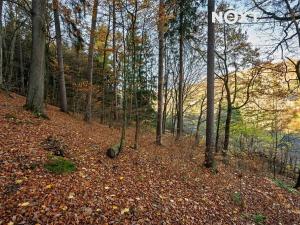 Prodej pozemku pro bydlení, Malá Skála, 3487 m2