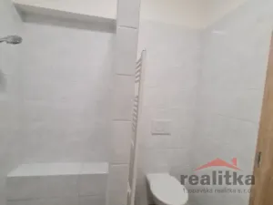 Pronájem bytu 2+kk, Opava - Předměstí, Husova, 47 m2