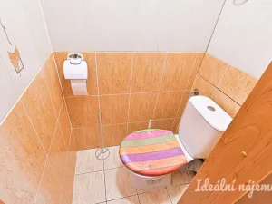 Pronájem bytu 3+1, Brno, Kamanova, 78 m2