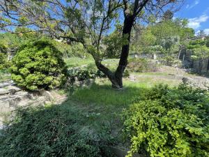 Prodej pozemku, Brno - Komín, Závist, 981 m2