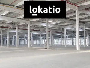 Pronájem skladu, Bílina, 25470 m2