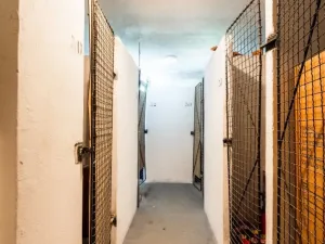 Prodej bytu 2+1, Brno - Žabovřesky, Luční, 73 m2