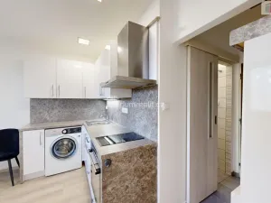 Pronájem bytu 1+kk, Opava - Kateřinky, Ratibořská, 22 m2