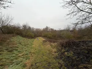 Prodej komerčního pozemku, Zabrušany, 15490 m2