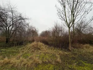 Prodej komerčního pozemku, Zabrušany, 15490 m2