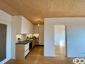 Pronájem bytu 2+kk, Praha, Nekonečného, 47 m2