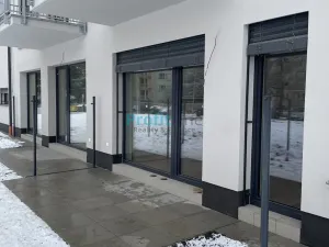 Pronájem bytu 1+kk, Lanškroun, Kežmarská, 50 m2